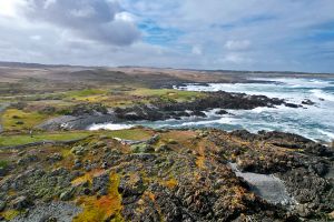 Ocean Dunes 4th Tee Aerial 2026